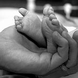 Children (15)